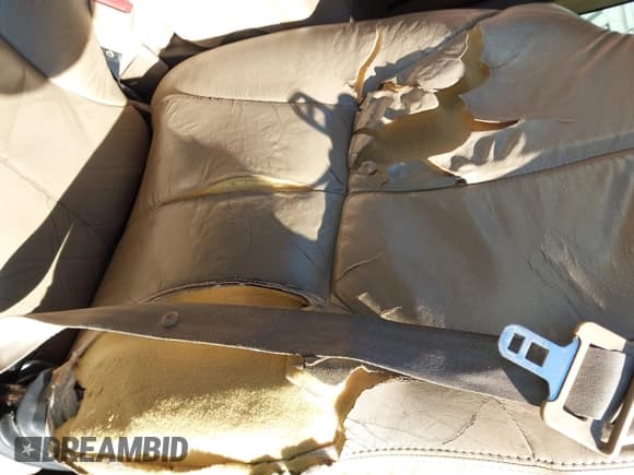 ✅ 1999 Dodge 1500 • VIN: 1B7HC13Y7XJ603503 • Lot: 43635588. Listed on IAAI with 274,736 mi. Free auction sales archive from the USA and detailed vehicle history report at DreamBid. Image 16.