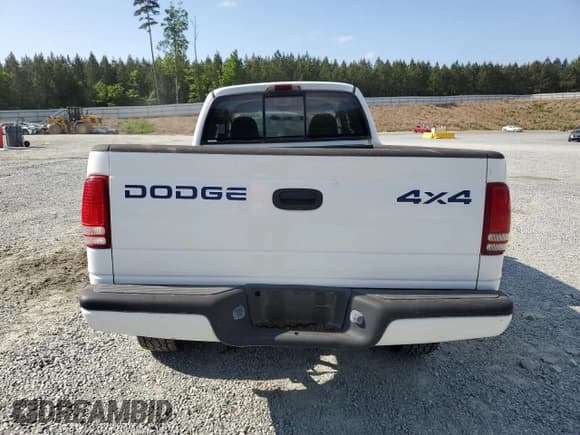 ✅ 2000 Dodge Dakota SLT • VIN: 1B7GG22X0YS554137 • Lot: 54960385. Wystawiony na Copart z przebiegiem 162 889 mil. Bezpłatny archiwum sprzedaży aukcyjnych z USA i szczegółowy raport historii pojazdu na DreamBid. Zdjęcie 6.