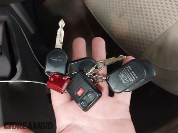 ✅ 2009 Ford F-150 XL • VIN: 1FTRW14869FA32733 • Lot: 42707066. Listed on IAAI with 177,248 mi. Free auction sales archive from the USA and detailed vehicle history report at DreamBid. Image 11.