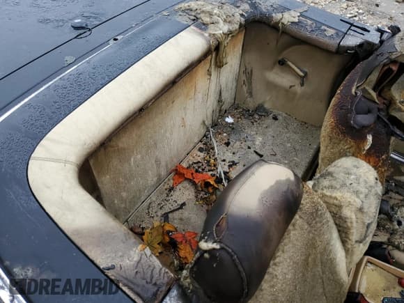 ✅ 1981 Mercedes-Benz 380 SL • VIN: WDBBA45A6BB008589 • Lot: 52164975. Listed on Copart with Not provided. Free auction sales archive from the USA and detailed vehicle history report at DreamBid. Image 10.