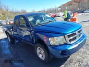 ✅ 2010 Dodge Dakota ST • VIN: 1D7CW2BK1AS135750 • Lot: 43638486. Listed on IAAI with 15,658 mi. Free auction sales archive from the USA and detailed vehicle history report at DreamBid. Image 1.