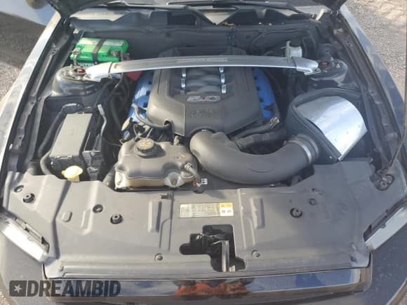 ✅ 2013 Ford Mustang GT • VIN: 1ZVBP8CF5D5284542 • Lot: 69672645. Listed on Copart with 147,030 mi. Free auction sales archive from the USA and detailed vehicle history report at DreamBid. Image 11.