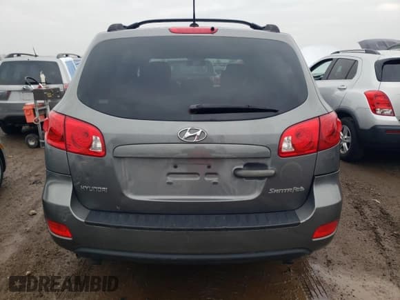 ✅ 2009 Hyundai Santa Fe GLS • VIN: 5NMSG13D89H268333 • Lot: 80377914. Listed on Copart with 81,932 mi. Free auction sales archive from the USA and detailed vehicle history report at DreamBid. Image 6.
