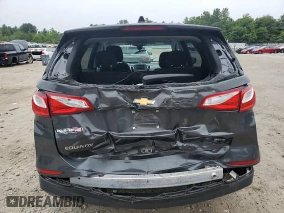 2020 Chevrolet Equinox LS z VIN 2GNAX5EV9L6237820, wystawiony jako Copart lot #67648135 z przebiegiem 123 441 mil mil oraz Szkoda całkowita • Salvage title. Historia ofert i sprzedaży dostępna na DreamBid. Obrazek 6.