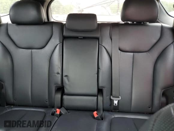 ✅ 2020 Hyundai Santa Fe Limited • VIN: 5NMS53AD9LH197641 • Lot: 53155544. Wystawiony na Copart z przebiegiem 72 310 mil. Bezpłatny archiwum sprzedaży aukcyjnych z USA i szczegółowy raport historii pojazdu na DreamBid. Zdjęcie 10.