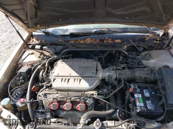 ✅ 2001 Acura TL • VIN: 19UUA56601A016056 • Lot: 43716774. Listed on IAAI with 257,088 mi. Free auction sales archive from the USA and detailed vehicle history report at DreamBid. Image 10.