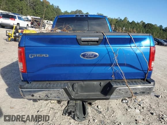 ✅ 2015 Ford F-150 XL • VIN: 1FTEX1CPXFFC87918 • Lot: 85203025. Wystawiony na Copart z przebiegiem Nie podano. Bezpłatny archiwum sprzedaży aukcyjnych z USA i szczegółowy raport historii pojazdu na DreamBid. Zdjęcie 6.