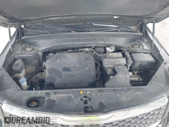 ✅ 2021 Kia Telluride LX • VIN: 5XYP24HC0MG104017 • Lot: 42609115. Wystawiony na IAAI z przebiegiem 122 420 mil. Bezpłatny archiwum sprzedaży aukcyjnych z USA i szczegółowy raport historii pojazdu na DreamBid. Zdjęcie 10.