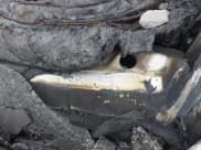 ✅ 2000 Porsche Boxster S • VIN: WP0CB2988YU661839 • Lot: 42574904. Wystawiony na IAAI z przebiegiem Nie podano. Bezpłatny archiwum sprzedaży aukcyjnych z USA i szczegółowy raport historii pojazdu na DreamBid. Zdjęcie 9.