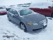 ✅ 2006 Acura TL • VIN: 19UUA66266A061531 • Lot: 43831173. Wystawiony na IAAI z przebiegiem 202 796 mil. Bezpłatny archiwum sprzedaży aukcyjnych z USA i szczegółowy raport historii pojazdu na DreamBid. Zdjęcie 1.