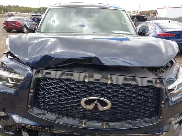 ✅ 2021 Infiniti QX80 Luxe • VIN: JN8AZ2AEXM9269886 • Lot: 43406973. Wystawiony na IAAI z przebiegiem 129 609 mil. Bezpłatny archiwum sprzedaży aukcyjnych z USA i szczegółowy raport historii pojazdu na DreamBid. Zdjęcie 10.