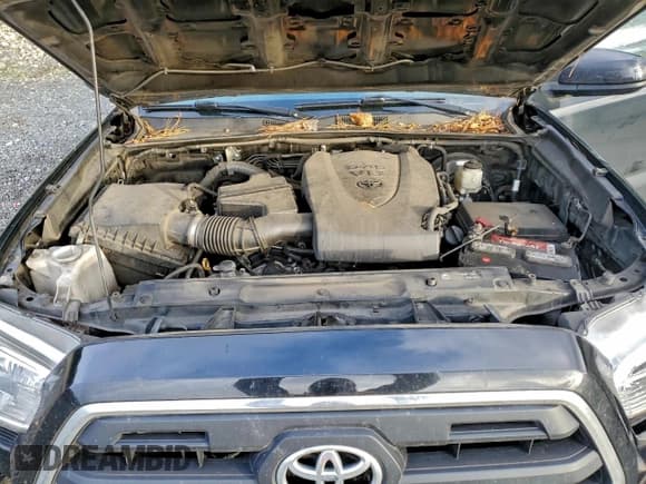 ✅ 2016 Toyota Tacoma TRD Off Road • VIN: 3TMCZ5AN1GM013969 • Lot: 94136925. Listed on Copart with 13,270 mi. Free auction sales archive from the USA and detailed vehicle history report at DreamBid. Image 11.