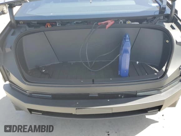 ✅ 2024 Tesla Cybertruck • VIN: 7G2CEHED5RA004336 • Lot: 61506604. Wystawiony na Copart z przebiegiem 4 743 mil. Bezpłatny archiwum sprzedaży aukcyjnych z USA i szczegółowy raport historii pojazdu na DreamBid. Zdjęcie 11.