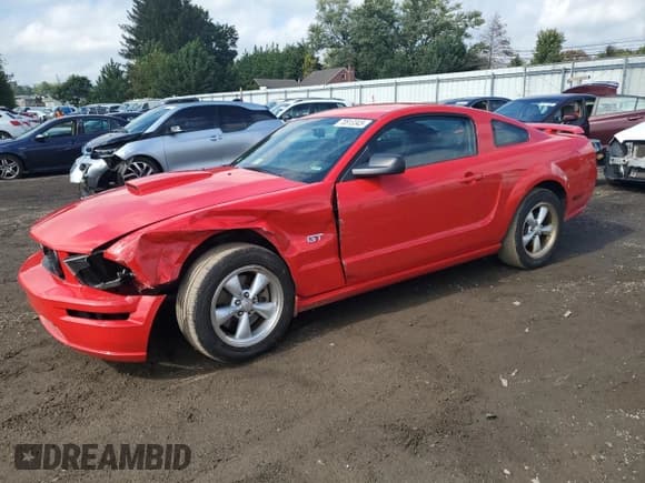 ✅ 2008 Ford Mustang GT Deluxe • VIN: 1ZVHT82H885106767 • Лот: 70813345. Опубликован ранее на Copart с пробегом 112 957 миль. Бесплатный доступ к архиву аукционных продаж из США и подробный отчёт об истории автомобиля на DreamBid. Изображение 1.