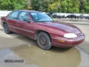 ✅ 2000 Chevrolet Lumina • VIN: 2G1WL52J6Y1203228 • Лот: 69234644. Опубликован ранее на Copart с пробегом 120 802 миль. Бесплатный доступ к архиву аукционных продаж из США и подробный отчёт об истории автомобиля на DreamBid. Изображение 4.