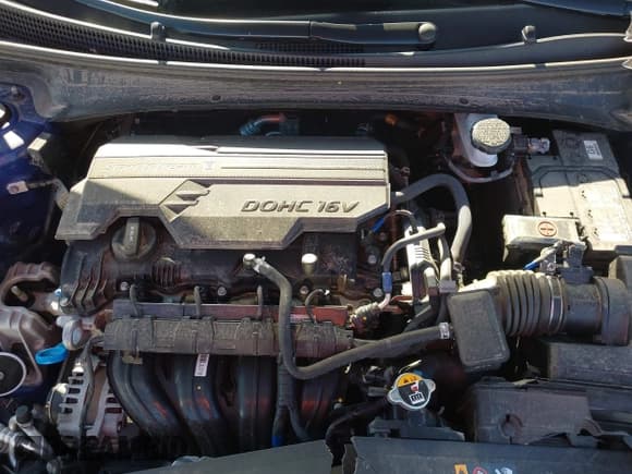 ✅ 2025 Hyundai Elantra SEL Convenience • VIN: KMHLS4DG4SU873313 • Lot: 43651234. Listed on IAAI with 30,878 mi. Free auction sales archive from the USA and detailed vehicle history report at DreamBid. Image 10.