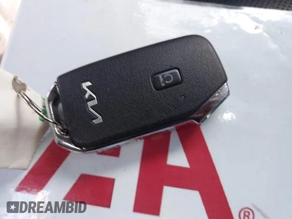 ✅ 2022 Kia Telluride EX • VIN: 5XYP34HC5NG312800 • Lot: 43560844. Wystawiony na IAAI z przebiegiem 31 164 mil. Bezpłatny archiwum sprzedaży aukcyjnych z USA i szczegółowy raport historii pojazdu na DreamBid. Zdjęcie 11.