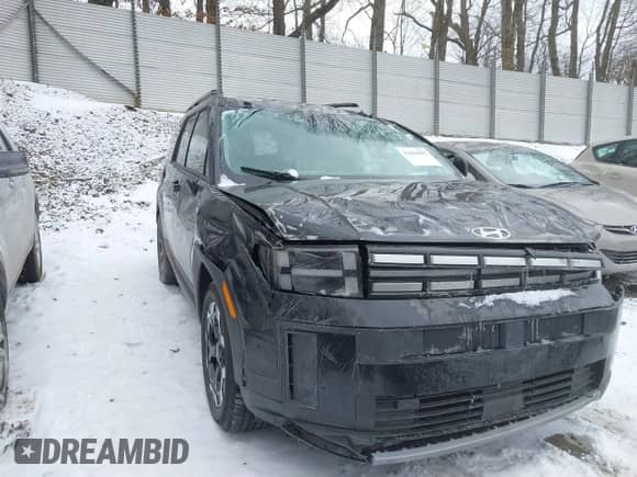 2024 Hyundai Santa Fe SEL с VIN 5NMP2DGL0RH009181, выставлен на аукционе IAAI как лот 41629507 с пробегом 11 120 миль миль и . История ставок и продаж доступна на DreamBid. Изображение 22.