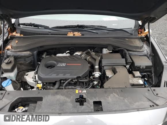 ✅ 2020 Hyundai Santa Fe SEL • VIN: 5NMS3CAA8LH145798 • Lot: 49169674. Wystawiony na Copart z przebiegiem 31 733 mil. Bezpłatny archiwum sprzedaży aukcyjnych z USA i szczegółowy raport historii pojazdu na DreamBid. Zdjęcie 12.