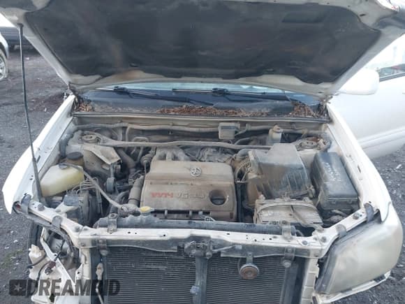 ✅ 2007 Toyota Highlander • VIN: JTEGP21A070131836 • Лот: 41142195. Опубликован ранее на IAAI с пробегом 254 307 миль. Бесплатный доступ к архиву аукционных продаж из США и подробный отчёт об истории автомобиля на DreamBid. Изображение 10.