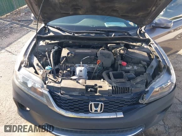 ✅ 2013 Honda Accord EX-L • VIN: 1HGCT1B89DA013425 • Лот: 42536135. Опубликован ранее на IAAI с пробегом 127 281 миль. Бесплатный доступ к архиву аукционных продаж из США и подробный отчёт об истории автомобиля на DreamBid. Изображение 10.