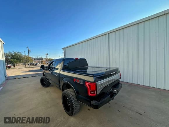 ✅ 2015 Ford F-150 Lariat • VIN: 1FTEW1EG9FFB20532 • Lot: 95578425. Listed on Copart with 195,786 mi. Free auction sales archive from the USA and detailed vehicle history report at DreamBid. Image 3.