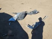 ✅ 2010 Toyota Camry • VIN: 4T1BF3EK6AU570884 • Лот: 92253785. Опубликован ранее на Copart с пробегом Не указан. Бесплатный доступ к архиву аукционных продаж из США и подробный отчёт об истории автомобиля на DreamBid. Изображение 12.