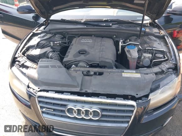 ✅ 2011 Audi A5 Premium Plus • VIN: WAULFAFR5BA009729 • Lot: 42486883. Wystawiony na IAAI z przebiegiem 142 876 mil. Bezpłatny archiwum sprzedaży aukcyjnych z USA i szczegółowy raport historii pojazdu na DreamBid. Zdjęcie 10.