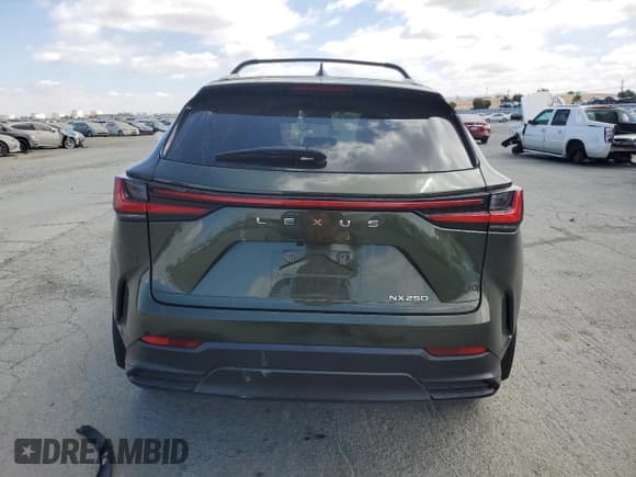 ✅ 2024 Lexus NX 250 • VIN: 2T2ADCAZ1RC012020 • Lot: 80516105. Wystawiony na Copart z przebiegiem 28 351 mil. Bezpłatny archiwum sprzedaży aukcyjnych z USA i szczegółowy raport historii pojazdu na DreamBid. Zdjęcie 6.