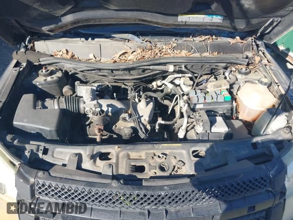 ✅ 2005 Chevrolet Equinox LT • VIN: 2CNDL63F256066927 • Лот: 43615781. Опубликован ранее на IAAI с пробегом 276 427 миль. Бесплатный доступ к архиву аукционных продаж из США и подробный отчёт об истории автомобиля на DreamBid. Изображение 10.