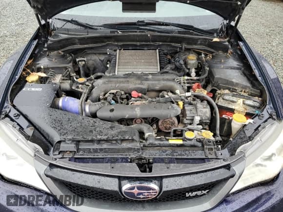 ✅ 2012 Subaru WRX WRX • VIN: JF1GV7E60CG028954 • Lot: 81299335. Listed on Copart with 127,340 mi. Free auction sales archive from the USA and detailed vehicle history report at DreamBid. Image 11.