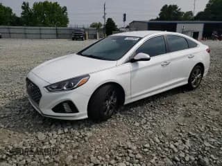 ✅ 2019 Hyundai Sonata SEL • VIN: 5NPE34AF5KH750295 • Лот: 53523943. Опубликован ранее на Copart с пробегом 66 497 миль. Бесплатный доступ к архиву аукционных продаж из США и подробный отчёт об истории автомобиля на DreamBid. Изображение 1.