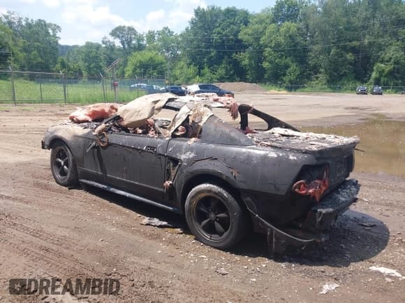 ✅ 1999 Ford Mustang GT • VIN: 1FAFP42X0XF107621 • Lot: 42868649. Listed on IAAI with 53,000 mi. Free auction sales archive from the USA and detailed vehicle history report at DreamBid. Image 3.