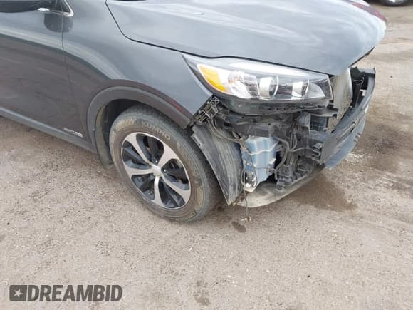 ✅ 2017 Kia Sorento EX • VIN: 5XYPHDA54HG330559 • Lot: 43380832. Listed on IAAI with 113,563 mi. Free auction sales archive from the USA and detailed vehicle history report at DreamBid. Image 18.