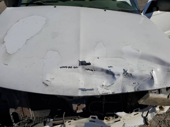 2000 Chevrolet Blazer LT with VIN 1GNDT13WXY2236550, listed as a Copart auction lot 77170574 with 221,994 mi miles and Salvage title. Bid and sale history available at DreamBid. Image 13.