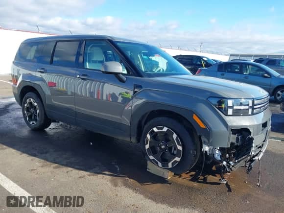 2024 Hyundai Santa Fe SE с VIN 5NMP1DGL9RH052548, выставлен на аукционе IAAI как лот 41522794 с пробегом 8 718 миль миль и . История ставок и продаж доступна на DreamBid. Изображение 1.