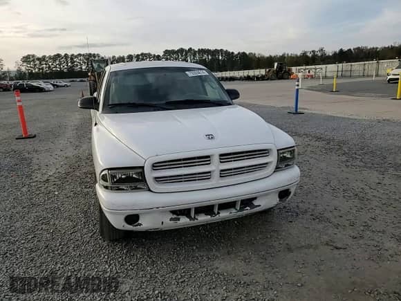 2002 Dodge Dakota SLT with VIN 1B7HL48X92S598972, listed as a Copart auction lot 79393614 with 228,582 mi miles and Salvage title. Bid and sale history available at DreamBid. Image 11.