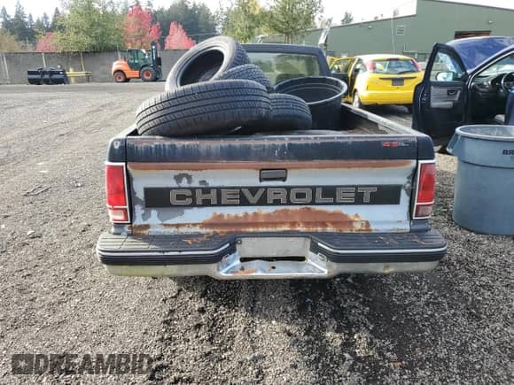 1991 Chevrolet S-10 EL X81 with VIN 1GCCT14ZXM0188776, listed as a Copart auction lot 78316434 with 266,519 mi miles and Clean title. Bid and sale history available at DreamBid. Image 6.