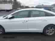 2016 Hyundai Sonata 2.4L z VIN 5NPE24AF9GH405653, wystawiony jako IAAI lot #41835115 z przebiegiem 103 840 mil mil oraz . Historia ofert i sprzedaży dostępna na DreamBid. Obrazek 14.