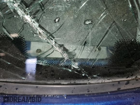 ✅ 2009 Ford Ranger XLT • VIN: 1FTYR44E39PA07857 • Лот: 91196645. Опубликован ранее на Copart с пробегом Не указан. Бесплатный доступ к архиву аукционных продаж из США и подробный отчёт об истории автомобиля на DreamBid. Изображение 12.