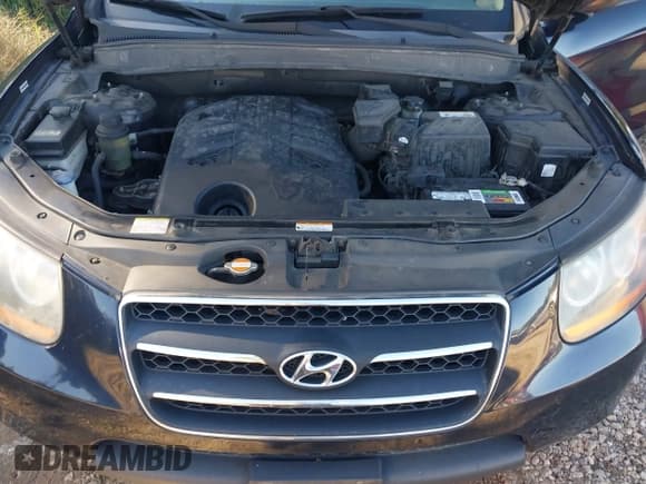 ✅ 2009 Hyundai Santa Fe Limited • VIN: 5NMSH13E09H248275 • Lot: 43482011. Listed on IAAI with 246,798 mi. Free auction sales archive from the USA and detailed vehicle history report at DreamBid. Image 10.