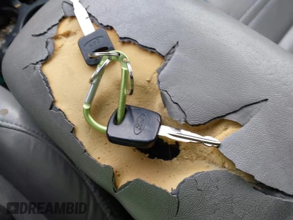 ✅ 2000 Ford Explorer XLT • VIN: 1FMZU83P2YZB75694 • Lot: 41932899. Wystawiony na IAAI z przebiegiem 245 229 mil. Bezpłatny archiwum sprzedaży aukcyjnych z USA i szczegółowy raport historii pojazdu na DreamBid. Zdjęcie 11.