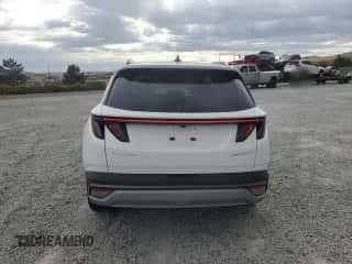 2025 Hyundai Tucson Limited with VIN KM8JEDD18SU287286, listed as a Copart auction lot 81851315 with 5,036 mi miles and Salvage title. Bid and sale history available at DreamBid. Image 6.