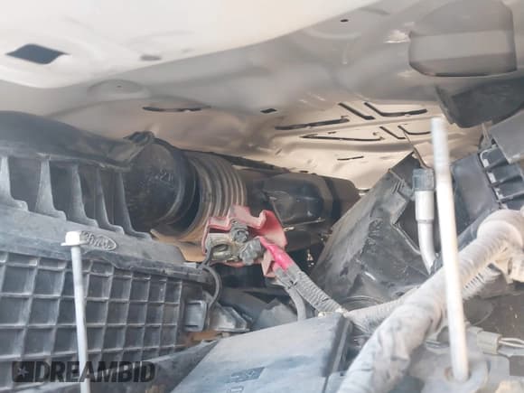 ✅ 2019 Ford F-250 XL • VIN: 1FD7W2B67KEG48754 • Lot: 41296653. Listed on IAAI with Not provided. Free auction sales archive from the USA and detailed vehicle history report at DreamBid. Image 10.