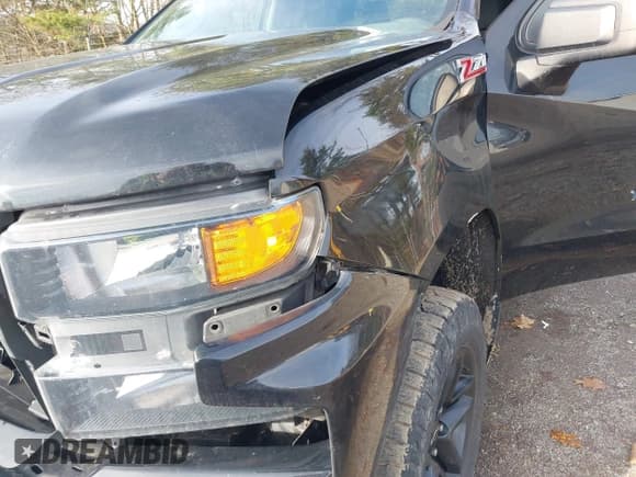 ✅ 2019 Chevrolet Silverado 1500 Custom Trail Boss • VIN: 1GCRYCEF6KZ232289 • Lot: 43759287. Wystawiony na IAAI z przebiegiem 153 492 mil. Bezpłatny archiwum sprzedaży aukcyjnych z USA i szczegółowy raport historii pojazdu na DreamBid. Zdjęcie 18.