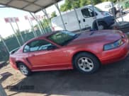 ✅ 2000 Ford Mustang • VIN: 1FAFP4044YF277880 • Lot: 42542108. Wystawiony na IAAI z przebiegiem Nie podano. Bezpłatny archiwum sprzedaży aukcyjnych z USA i szczegółowy raport historii pojazdu na DreamBid. Zdjęcie 13.