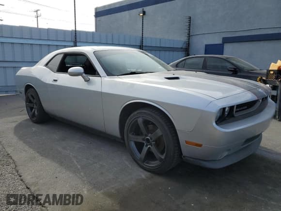 ✅ 2010 Dodge Challenger SE • VIN: 2B3CJ4DVXAH219814 • Lot: 42195015. Wystawiony na Copart z przebiegiem Nie podano. Bezpłatny archiwum sprzedaży aukcyjnych z USA i szczegółowy raport historii pojazdu na DreamBid. Zdjęcie 4.