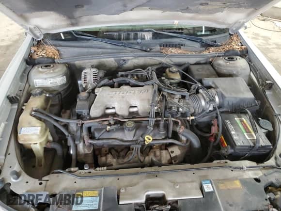 2000 Chevrolet Malibu z VIN 1G1ND52J0Y6130410, wystawiony jako Copart lot #44413365 z przebiegiem 189 706 mil mil oraz Szkoda całkowita • Salvage title. Historia ofert i sprzedaży dostępna na DreamBid. Obrazek 11.