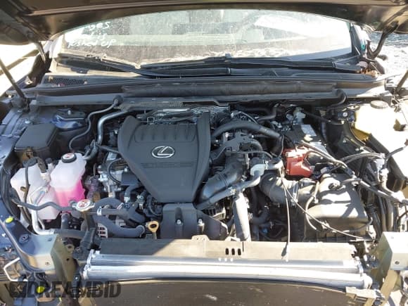 ✅ 2025 Lexus RX 350 Premium Plus • VIN: 2T2BAMCAXSC097441 • Lot: 43386552. Wystawiony na IAAI z przebiegiem 1 316 mil. Bezpłatny archiwum sprzedaży aukcyjnych z USA i szczegółowy raport historii pojazdu na DreamBid. Zdjęcie 10.