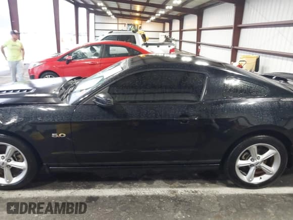 ✅ 2014 Ford Mustang GT • VIN: 1ZVBP8CF1E5283700 • Lot: 43386871. Listed on IAAI with 57,906 mi. Free auction sales archive from the USA and detailed vehicle history report at DreamBid. Image 14.
